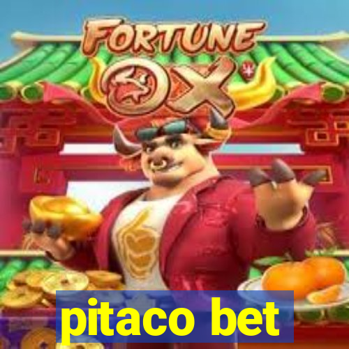 pitaco bet