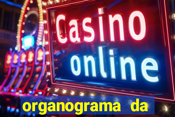 organograma da cacau show