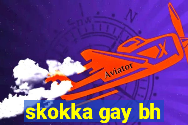 skokka gay bh