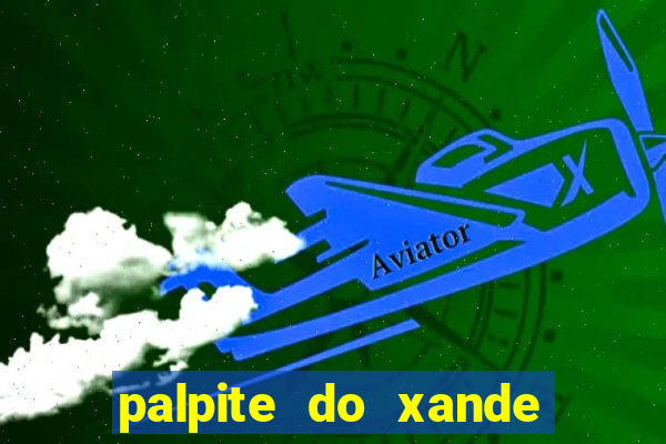 palpite do xande para hoje