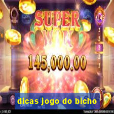 dicas jogo do bicho