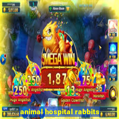 animal hospital rabbits