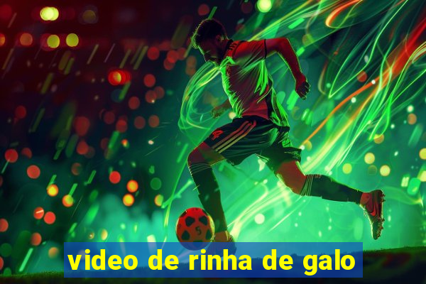 video de rinha de galo