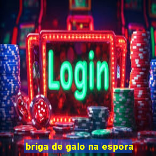 briga de galo na espora