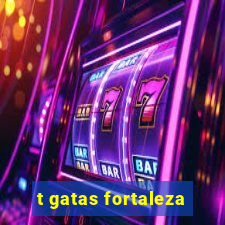 t gatas fortaleza